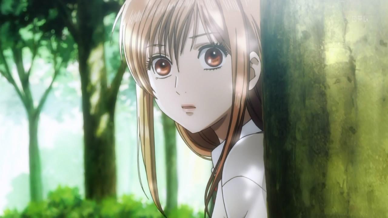 Chihayafuru | El anime contará con segunda temporada