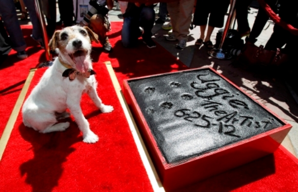 Uggie plasma sus huellas en Hollywood
