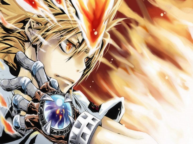 ¡Se terminó! Ya no habrá más del manga de Katekyo Hitman Reborn!