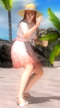 Dead or Alive 5 Plus, PS Vita