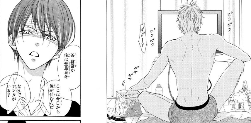 Mai Nishikata vuelve al ruedo para lanzar su nuevo manga, Danshigurashi