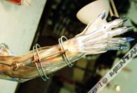 Tim Burton - Superman Lives