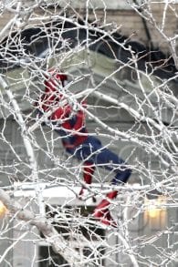 El Soprendente Hombre Araña 2