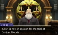 Phoenix Wright: Ace Attorney - Dual Destinies