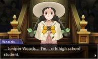 Phoenix Wright: Ace Attorney - Dual Destinies
