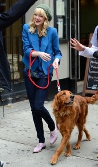 El Sorprendente Hombre Araña