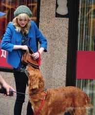 El Sorprendente Hombre Araña