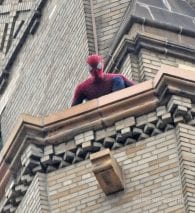 El Sorprendente Hombre Araña