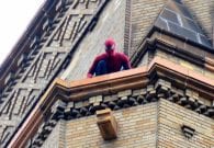 El Sorprendente Hombre Araña