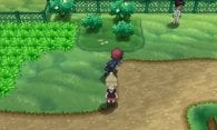 Pokémon X & Pokémon Y