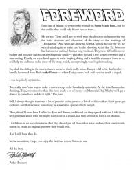 Super Mario Bros. 2 (web cómic) 2