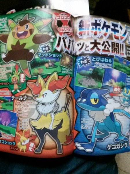 Evolution Starters