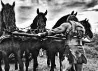 Hercules: The Thracian Wars