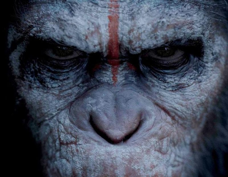 Dawn of the Planet of the Apes