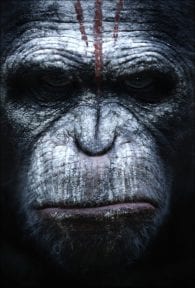 Dawn of the Planet of the Apes