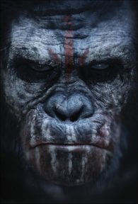 Dawn of the Planet of the Apes