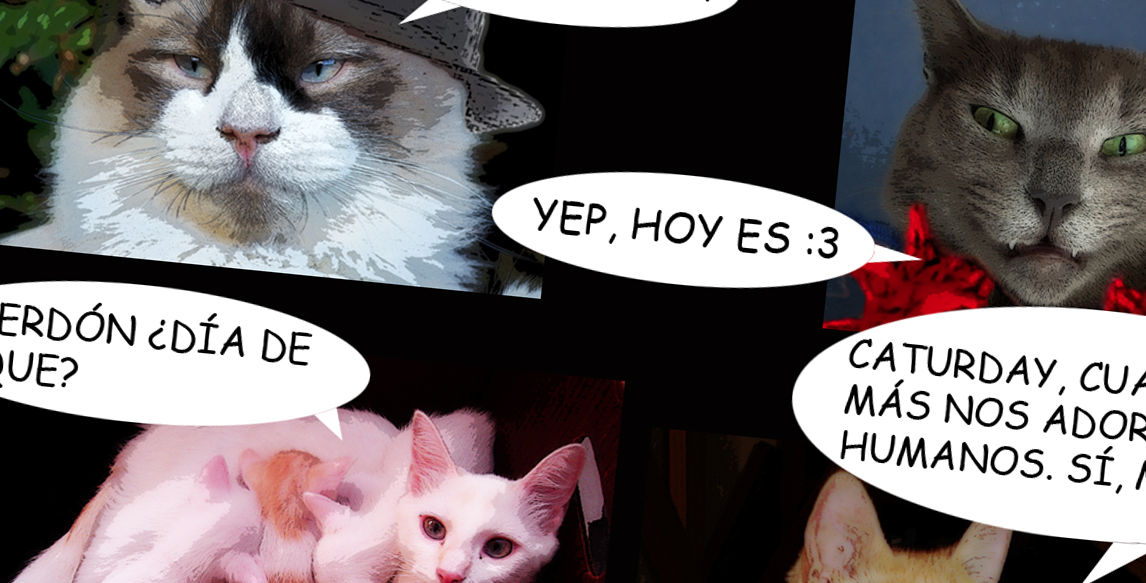 ¡Hoy es Caturday! | Web cómic