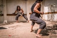 Street Fighter: Assassin's Fist