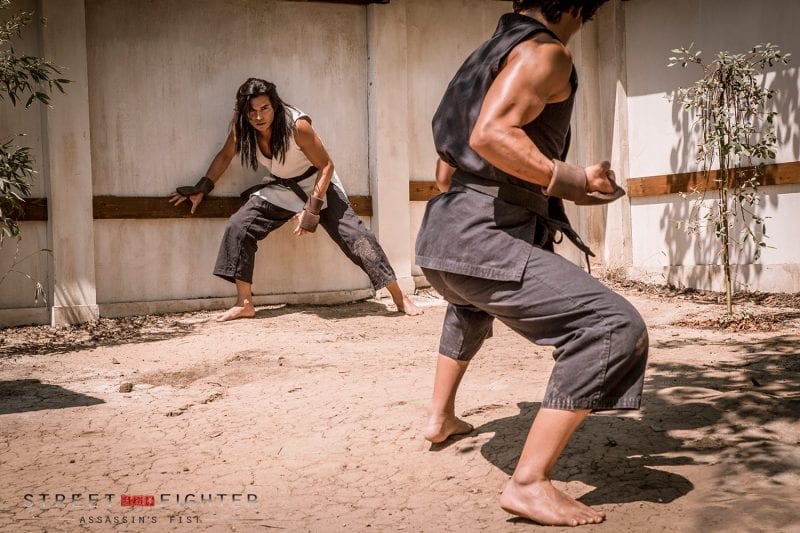 Street Fighter: Assassin's Fist