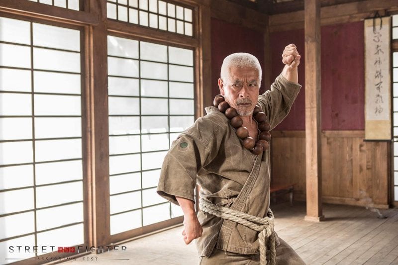 Street Fighter: Assassin's Fist