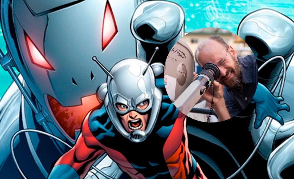 Peyton Reed dirigirá Ant-Man: El Hombre Hormiga: Marvel