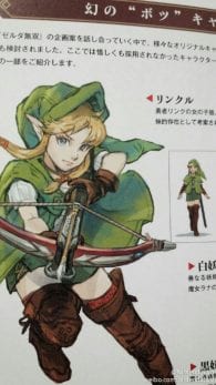 Linkle | Hyrule Warriors
