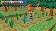 Harvest Moon: The Lost Valley