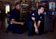 Agentes del Desorden