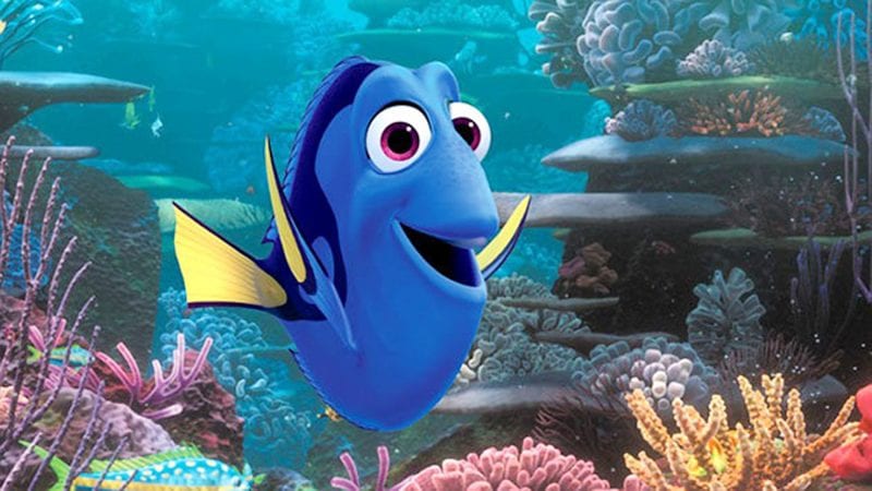 Finding Dory