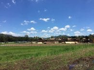 Pirates of the Caribbean: Dead Men Tell No Tales