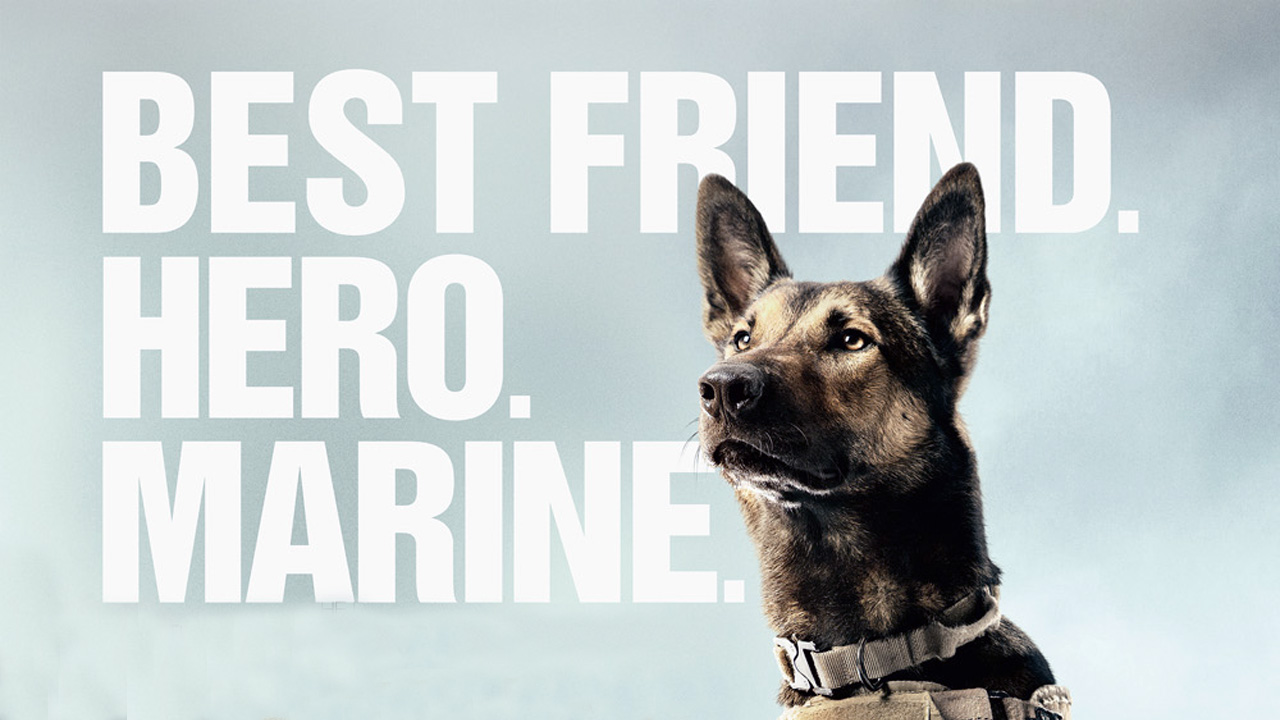 Primer tráiler de Max, la historia real de un perro Marine