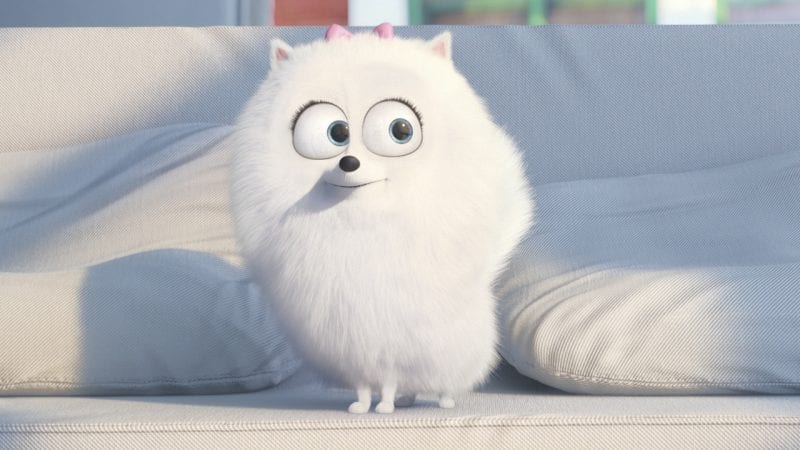 La Vida Secreta de tus Mascotas