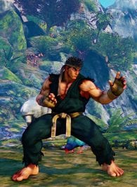 Street Fighter V